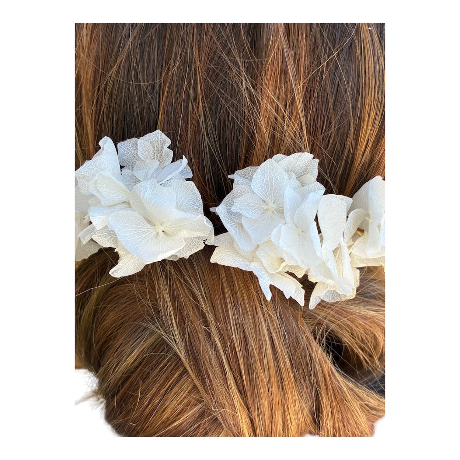 Horquillas de flor de hortensia preservada blanca