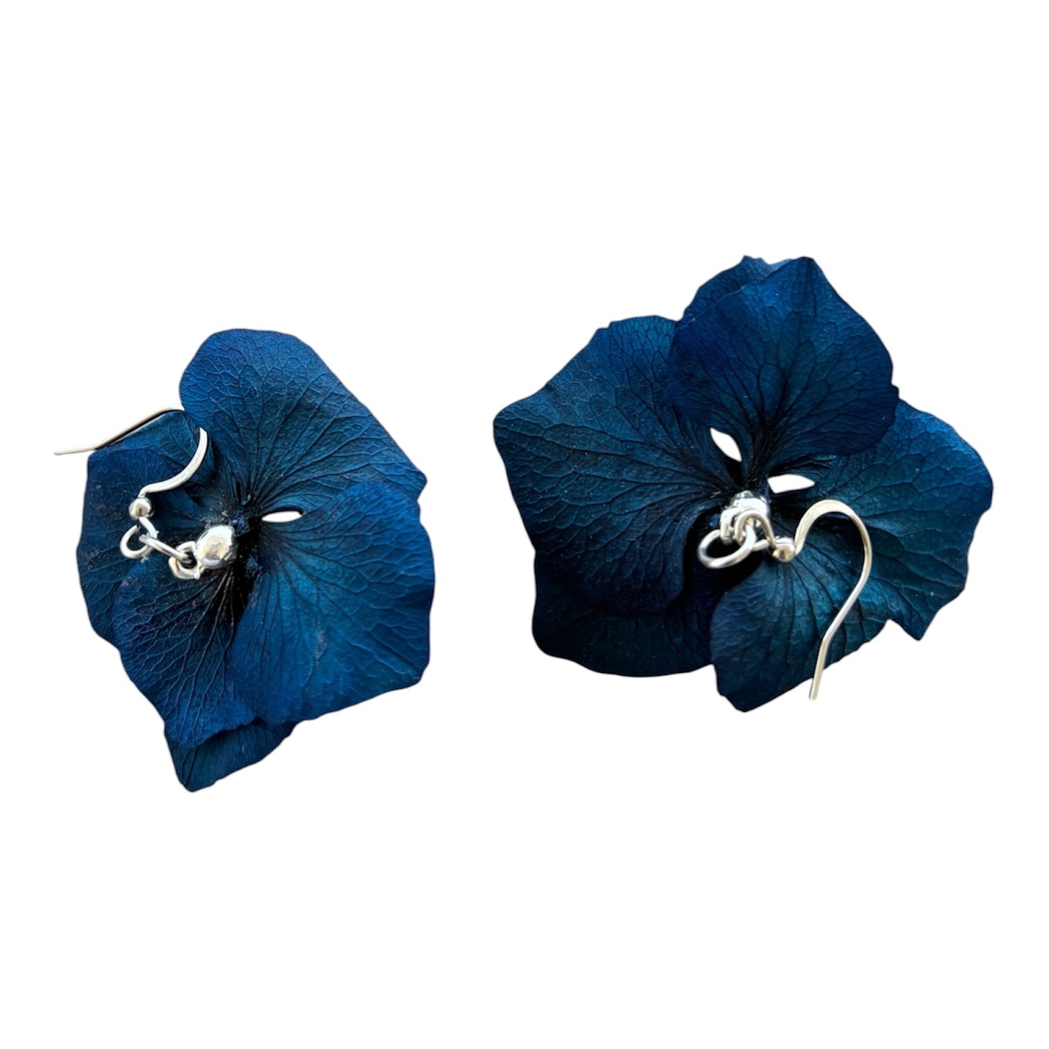 Pendientes de flor preservada natural azules pequeños